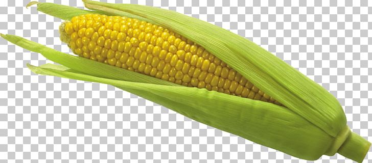 Maize PNG, Clipart, Cereal, Clipping Path, Cocoa, Computer Icons, Corn On The Cob Free PNG Download