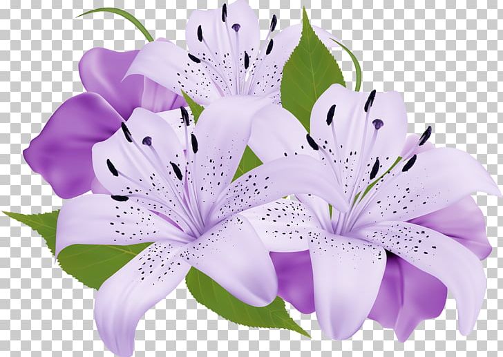 Flower Bouquet Purple PNG, Clipart, Callalily, Clip Art, Color, Floristry, Flower Free PNG Download