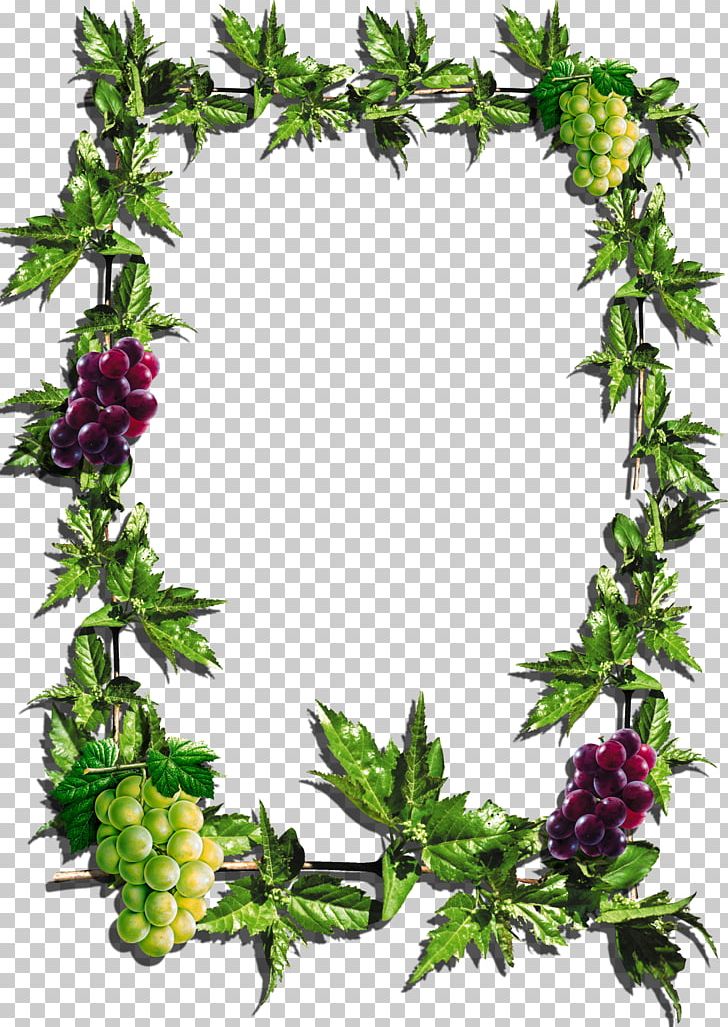 Frames Paper PNG, Clipart, Encapsulated Postscript, Flowering Plant, Food, Fruit, Fruit Nut Free PNG Download