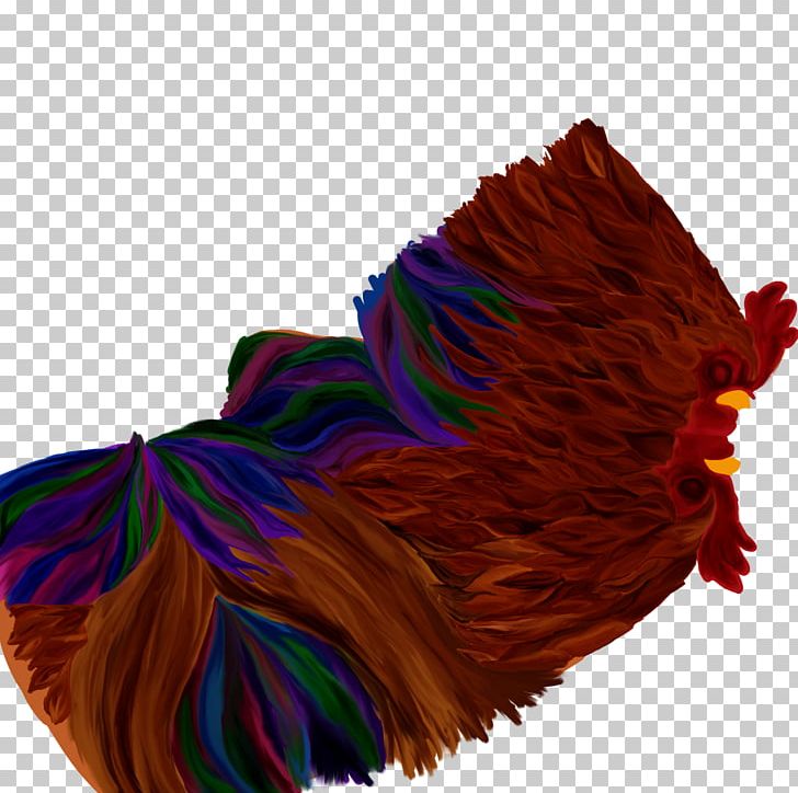 Rooster PNG, Clipart, Chicken, Cockerel, Displacement, Feather, Galliformes Free PNG Download
