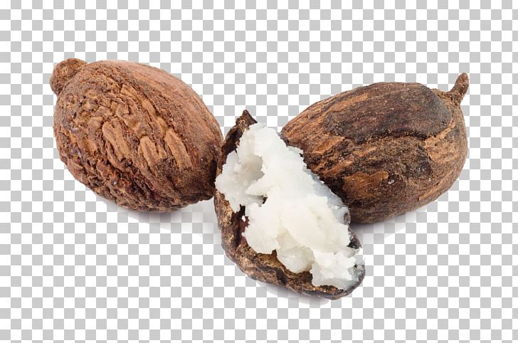 Shea Butter Vitellaria Nut Oil PNG, Clipart, Butter, Cocoa Butter, Commodity, Cosmetics, Fat Free PNG Download