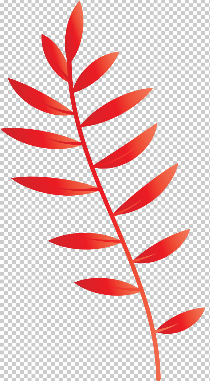 Plant Stem Petal Leaf Line Plants PNG, Clipart, Biology, Leaf, Leaf Abstract, Leaf Cartoon, Leaf Clipart Free PNG Download