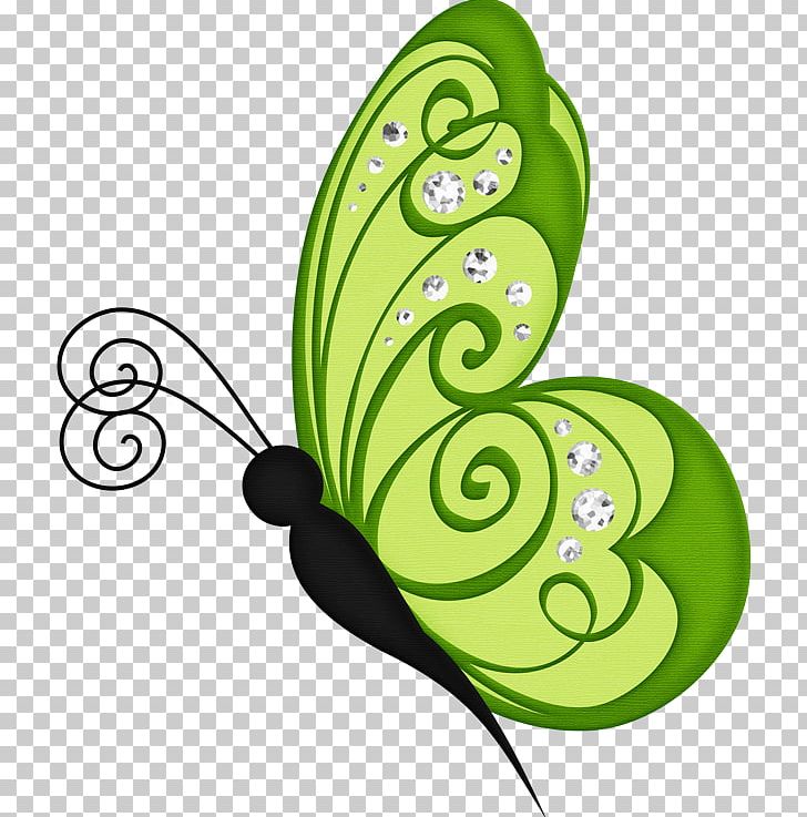 Monarch Butterfly Drawing PNG, Clipart, Butterfly, Circle, Clip Art, Color, Document Free PNG Download