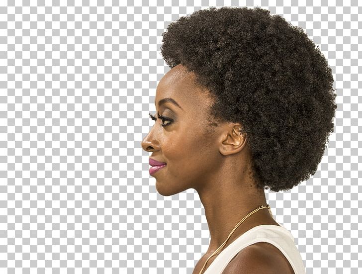 Afro-textured Hair Jheri Redding Hair Coloring Jheri Curl PNG, Clipart, Afro, Afrotextured Hair, Artificial Hair Integrations, Costume, Hair Free PNG Download