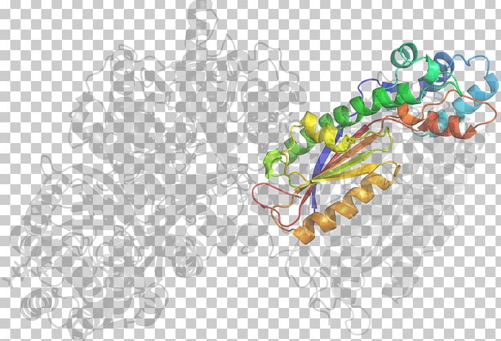 Body Jewellery PNG, Clipart, Adenosine Deaminase Zalpha Domain, Art, Body Jewellery, Body Jewelry, Jewellery Free PNG Download