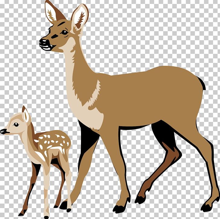 White-tailed Deer Ecosystem Energy PNG, Clipart, Animal, Animal Figure, Animals, Antelope, Antler Free PNG Download