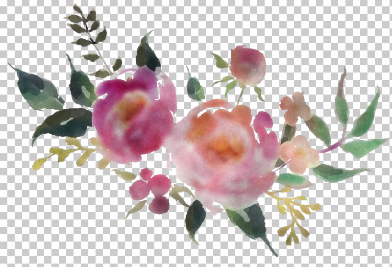 Rose PNG, Clipart, Branch, Chinese Peony, Common Peony, Flower, Peony Free PNG Download