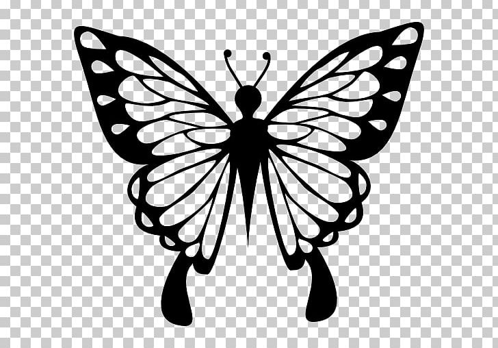 Butterfly Computer Icons Drawing Color PNG, Clipart, Black And White, Brush Footed Butterfly, Butterfly, Color, Computer Icon Free PNG Download