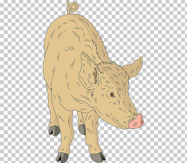 Domestic Pig Cattle Animal PNG, Clipart, Animal, Animal Figure, Animals, Barn, Cattle Free PNG Download