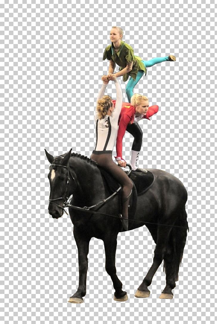 Horse Tack Equestrian Vaulting Rein PNG, Clipart, Animal Figure, Animals, Equestrian Centre, Equestrian Sport, Equestrian Vaulting Free PNG Download