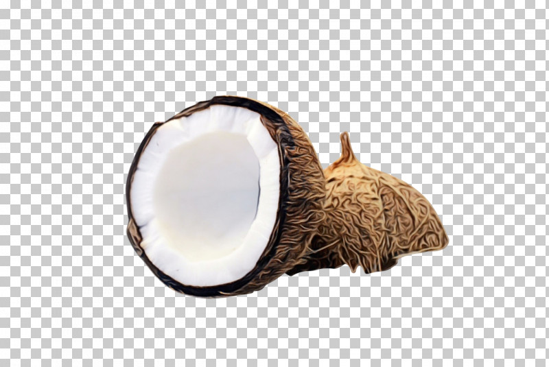 Coconut PNG, Clipart, Coconut, Coconut Oil, Coconut Water, Oil Paint, Paint Free PNG Download