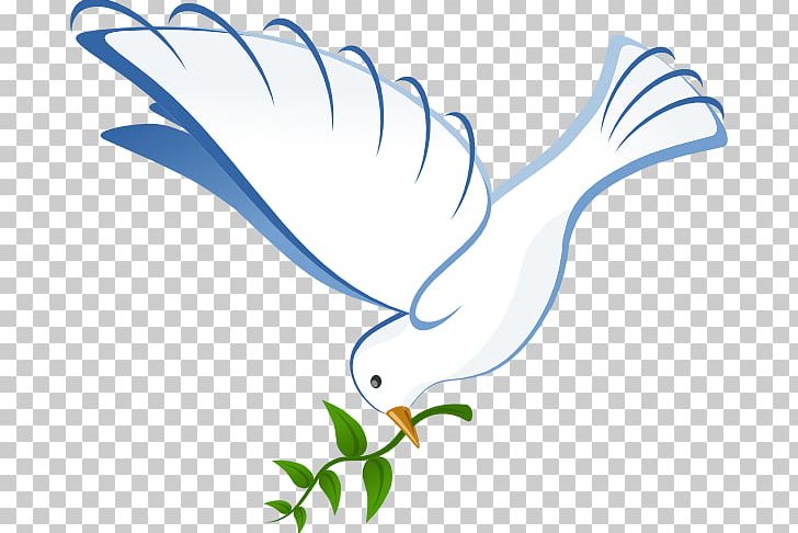 Columbidae Homing Pigeon Bird Beak PNG, Clipart, Area, Artwork, Beak, Bird, Branch Free PNG Download