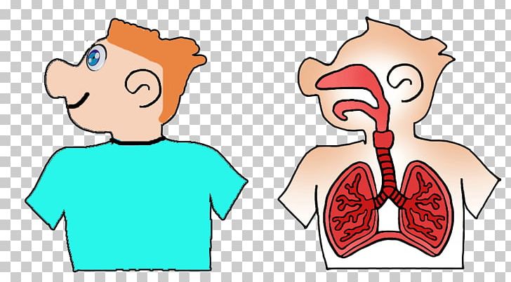 Nose Mouth Respiratory System Ear Human Body PNG, Clipart, Arm, Boy, Child, Conversation, Face Free PNG Download
