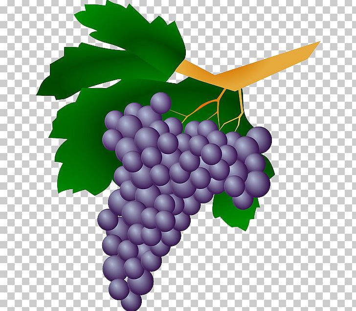 White Wine Grape Kyoho Straw Wine PNG, Clipart, Common Grape Vine, Flowering Plant, Food, Fruit, Grape Free PNG Download