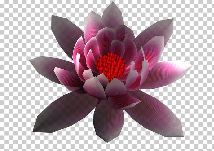 Petal Flower Garden Roses PNG, Clipart, Animation, Bellflowers, Blume, Blumen, Cicek Free PNG Download