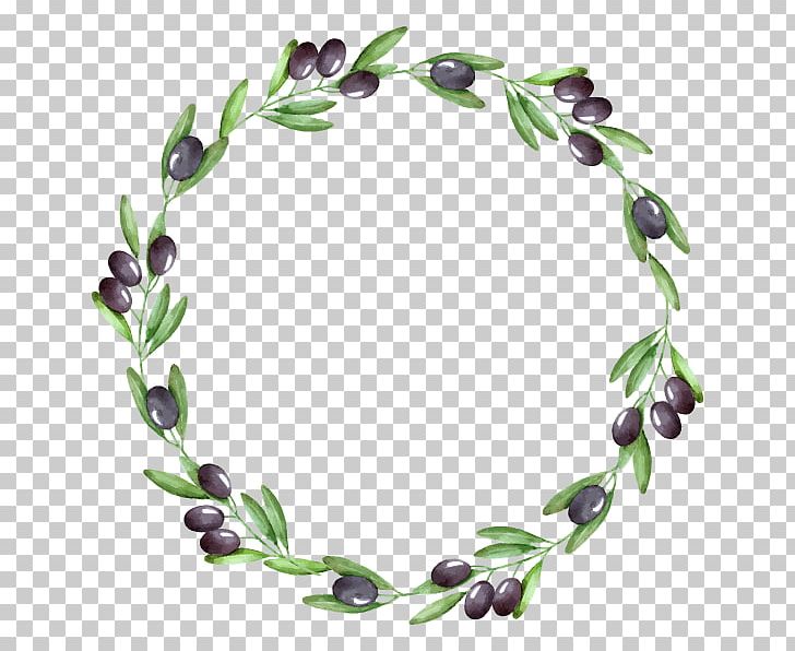 Watercolor Painting Olive Wreath Olive Branch PNG, Clipart, Branch, Drawing, Food Drinks, Fruit, Laurel Wreath Free PNG Download