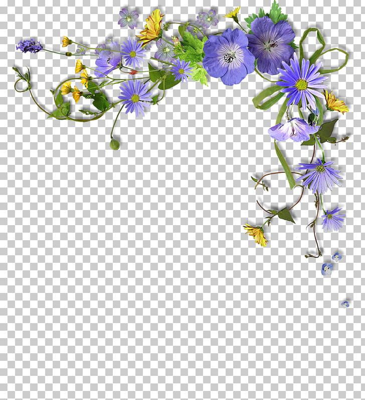 Flower Photography Paper PNG, Clipart, Blossom, Blue, Branch, Cut Flowers, Drawing Free PNG Download