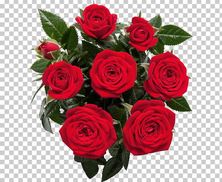 Garden Roses PNG, Clipart, Artificial Flower, Cut Flowers, Desktop Wallpaper, Download, Floral Design Free PNG Download