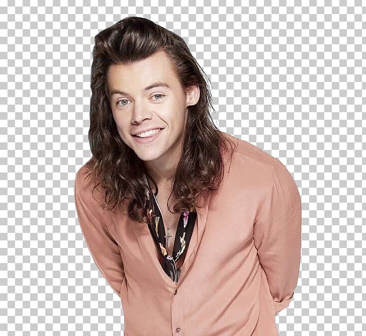 Harry Styles One Direction Singer-songwriter PNG, Clipart, Actor, Brown Hair, Chin, Forehead, Harry Styles Free PNG Download