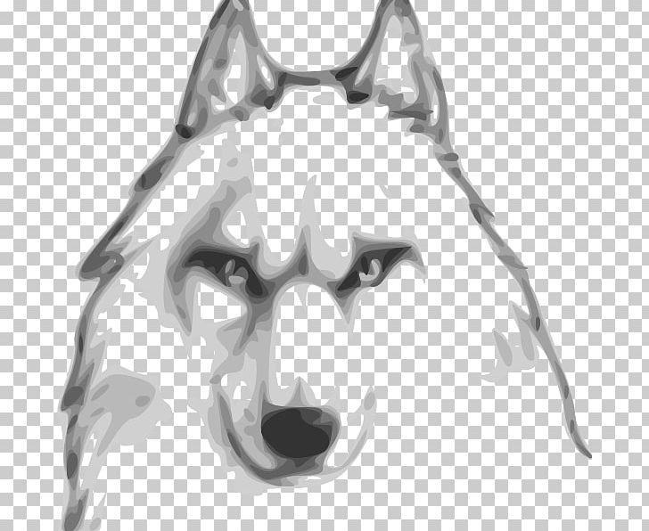 Gray Wolf Drawing Computer Software Assassin's Creed: Origins Internet Forum PNG, Clipart,  Free PNG Download