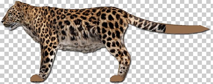 Leopard Ocelot Jaguar Cheetah Whiskers PNG, Clipart, Amur, Amur Leopard, Animal, Animal Figure, Animals Free PNG Download