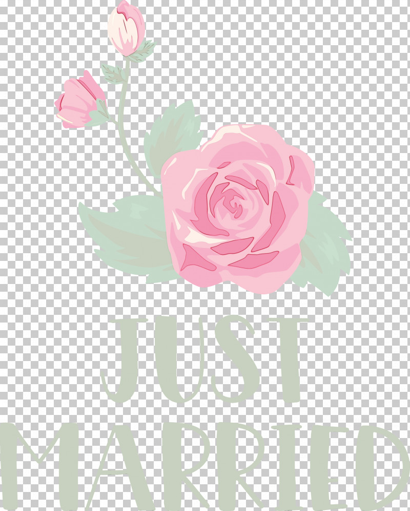 Floral Design PNG, Clipart, Cabbage Rose, Cut Flowers, Floral Design, Flower, Garden Free PNG Download