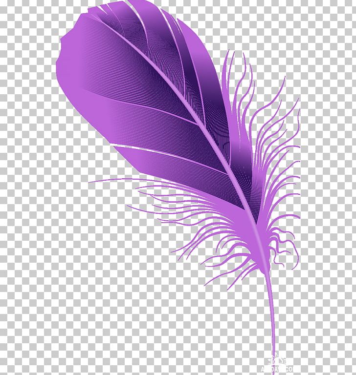 Feather Violet Quill Drawing PNG, Clipart, Animals, Color, Computer, Computer Wallpaper, Desktop Wallpaper Free PNG Download