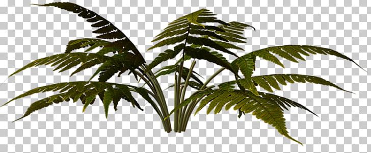 Arecaceae 2016 Nissan LEAF Megabyte PNG, Clipart, 2016 Nissan Leaf, Arecaceae, Arecales, Cars, Clip Art Free PNG Download