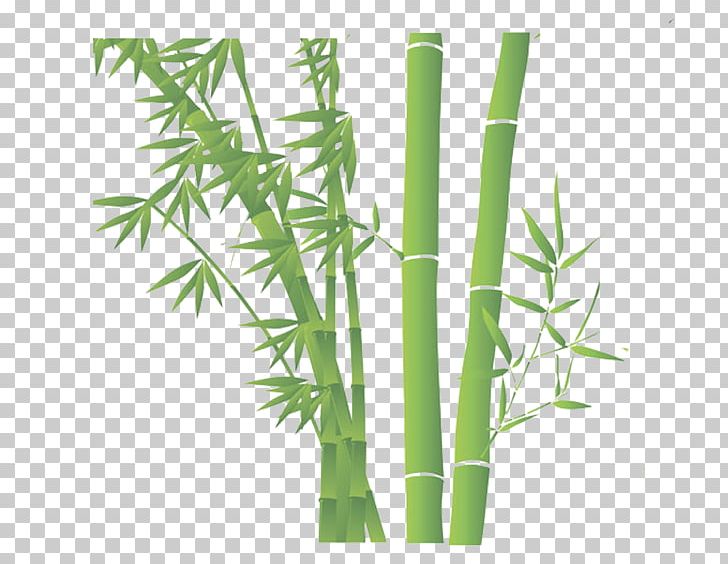 Bamboo PNG, Clipart, Adobe Illustrator, Angle, Background Green, Bamboo, Download Free PNG Download