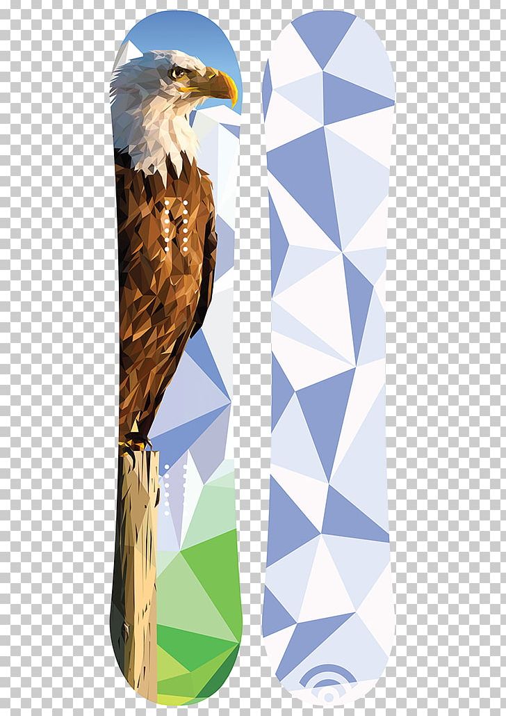 Eagle Beak PNG, Clipart, Animals, Beak, Bird, Bird Of Prey, Eagle Free PNG Download