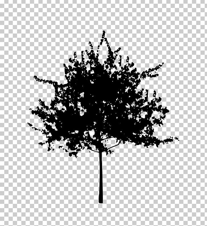 Silhouette PNG, Clipart, Animals, Black And White, Branch, Download, Flowering Plant Free PNG Download