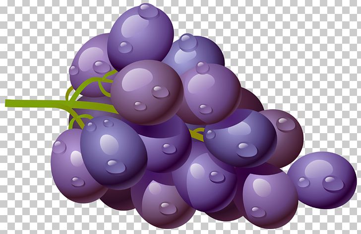 Common Grape Vine Wine Must PNG, Clipart, Clipart, Common Grape Vine, Food, Fruit, Fruits Free PNG Download