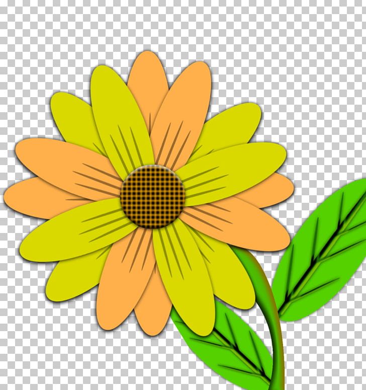 Desktop PNG, Clipart, Animated, Art, Calendula, Chrysanths, Common Daisy Free PNG Download