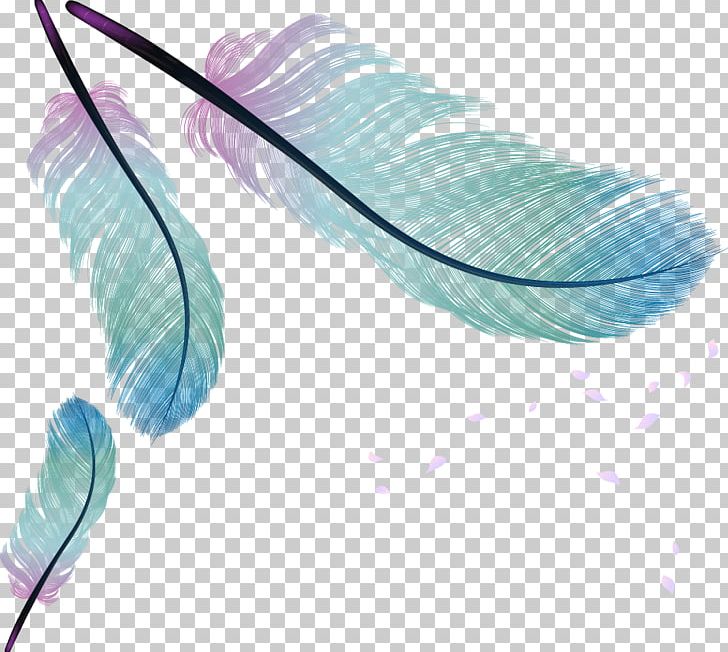 Feather Bird PNG, Clipart, Animals, Aqua, Balloon Cartoon, Boy Cartoon, Cartoon Character Free PNG Download