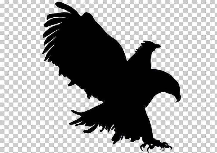 IPhone Silhouette Desktop Logo PNG, Clipart, Accipitriformes, Bald Eagle, Beak, Bird, Bird Of Prey Free PNG Download