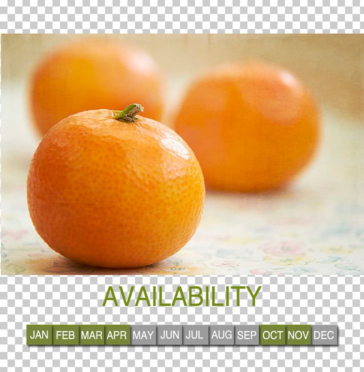 Tangerine Fruit Mandarin Orange Food Mango PNG, Clipart, Bitter Orange, Citric Acid, Citrus, Clementine, Diet Food Free PNG Download