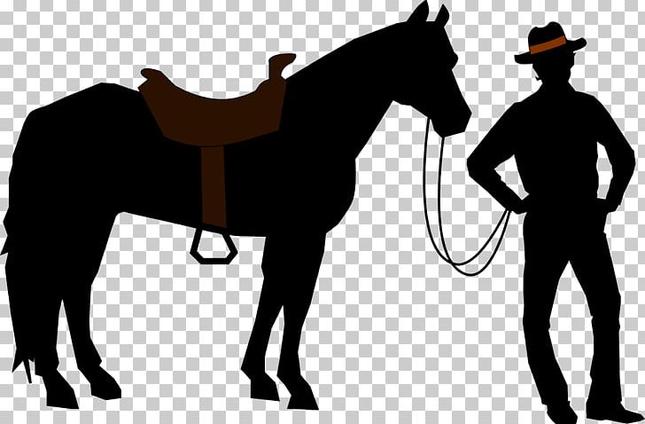 American Quarter Horse Arabian Horse Criollo Horse Howrse Riding Horse PNG, Clipart, Animal, Bay, Bit, Black, Breed Free PNG Download
