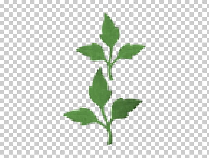 Cheery Lynn Designs West Cheery Lynn Road Die Leaf Plant Stem PNG, Clipart, Cheery Lynn Designs, Cottage, Die, Flower, Herb Free PNG Download