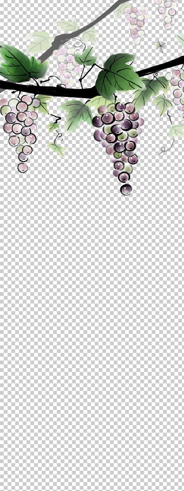 Grape Ink Wash Painting PNG, Clipart, Art, Black Grapes, Branch, Cherry Blossom, Designer Free PNG Download