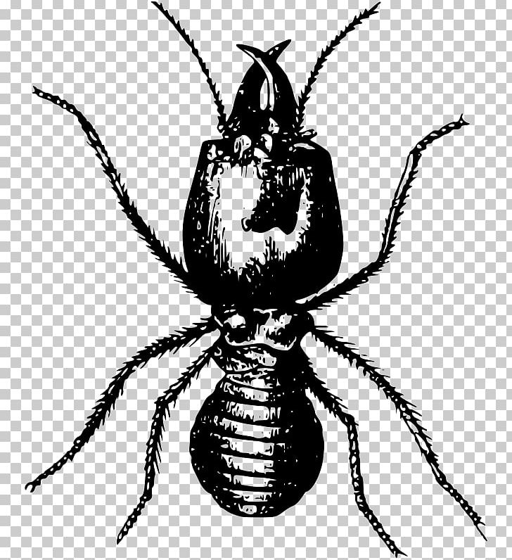 Insect Ant Pest Control Eastern Subterranean Termite PNG, Clipart, Animals, Ant, Arthropod, Bait, Black And White Free PNG Download