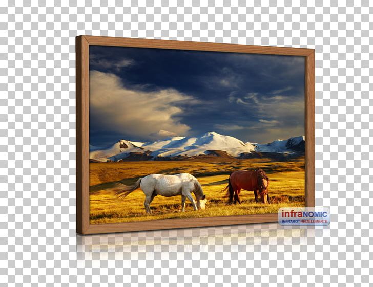 Mongolia Stock Photography Horse Canvas Print PNG, Clipart, Animals, Art, Canvas, Canvas Print, Desktop Wallpaper Free PNG Download