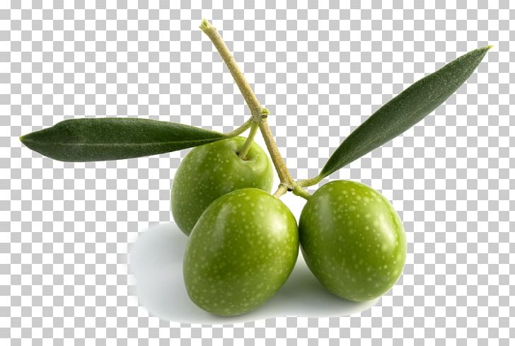 Olive Oil Olive Leaf Fruit PNG, Clipart, Bag, Coconut Oil, Extract, Food, Food Drinks Free PNG Download