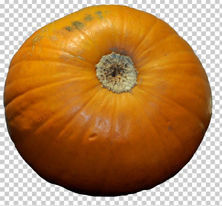 Pumpkin Calabaza Winter Squash Gourd PNG, Clipart, Calabaza, Cucumber Gourd And Melon Family, Cucurbita, Gourd, Gourdm Free PNG Download