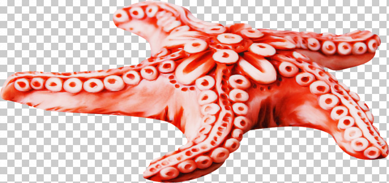 Red Pink Giant Pacific Octopus Octopus PNG, Clipart, Giant Pacific Octopus, Octopus, Pink, Red Free PNG Download