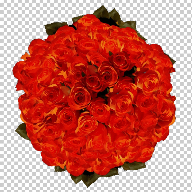 Floral Design PNG, Clipart, Cut Flowers, Family, Floral Design, Floribunda, Flower Free PNG Download