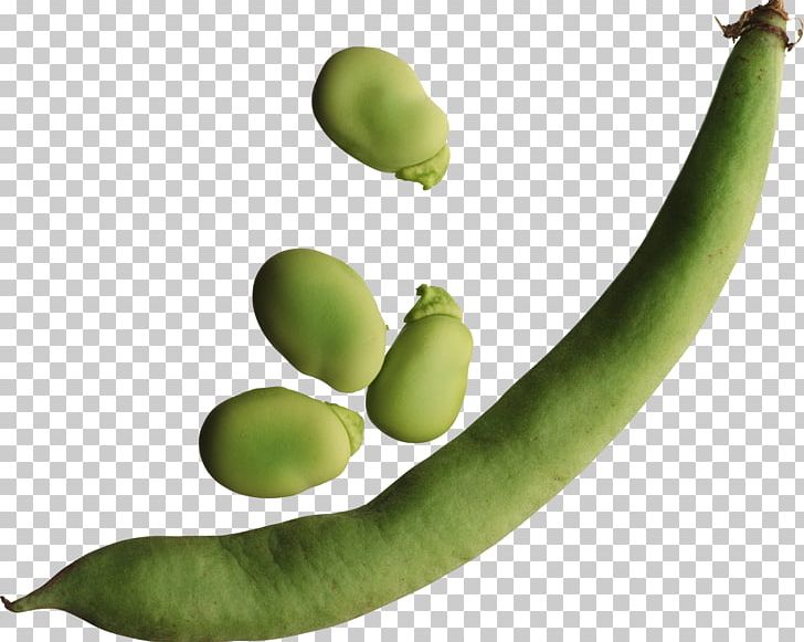 Chakhokhbili Common Bean Pea Food Kidney Bean PNG, Clipart, Banana Family, Bean, Black Beans, Broad Bean, Chakhokhbili Free PNG Download