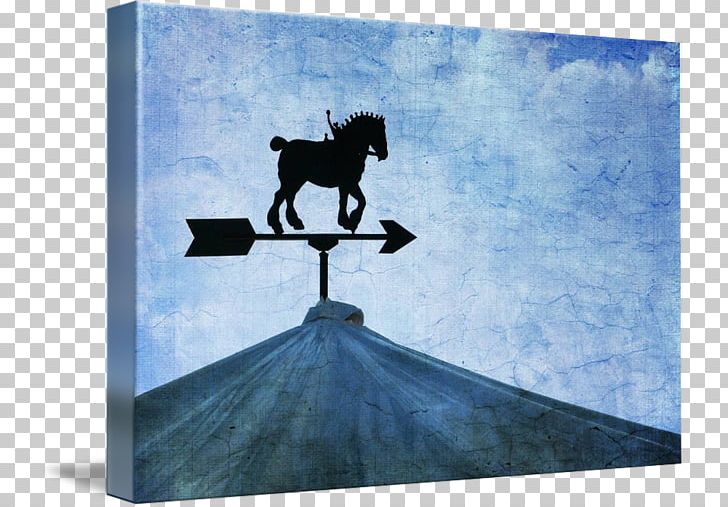 Horse Stock Photography Silhouette Sky Plc PNG, Clipart, Animals, Cloud, Horse, Horse Like Mammal, Photography Free PNG Download