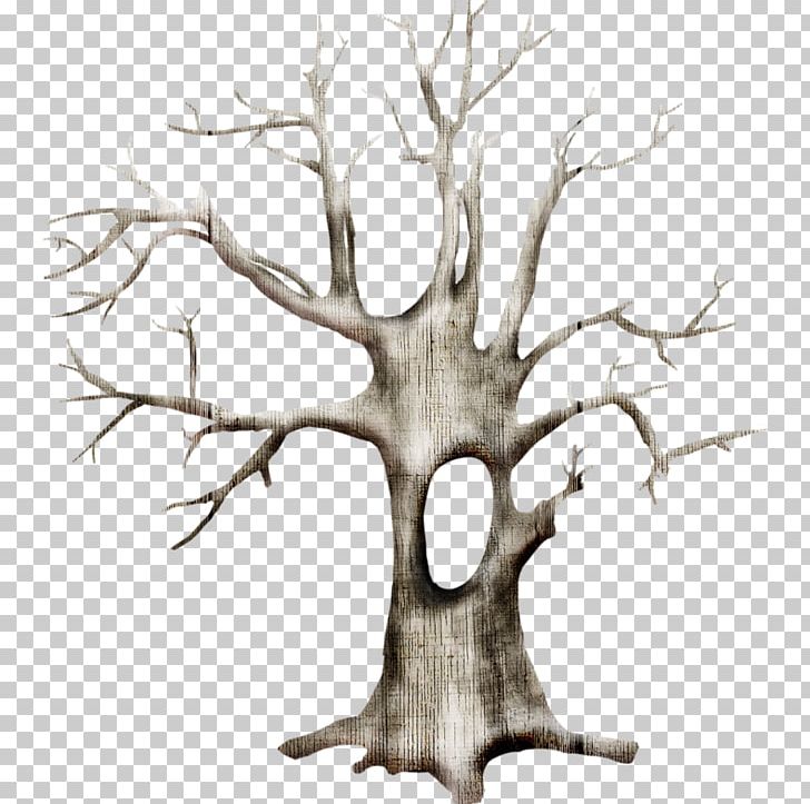 Tree Branch Snow PNG, Clipart, Antler, Black And White, Branch, Christmas, Christmas Ornament Free PNG Download