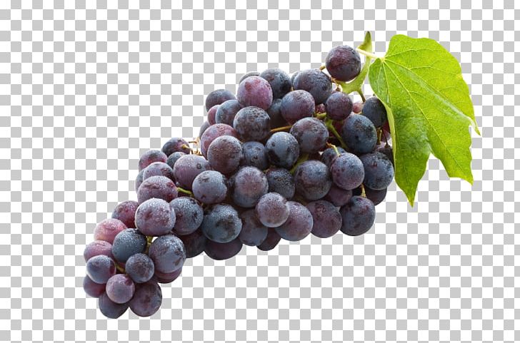 Concord Grape Juice Common Grape Vine Wine Sultana PNG, Clipart, Berry, Bilberry, Blueberry, Common Grape Vine, Concord Grape Free PNG Download