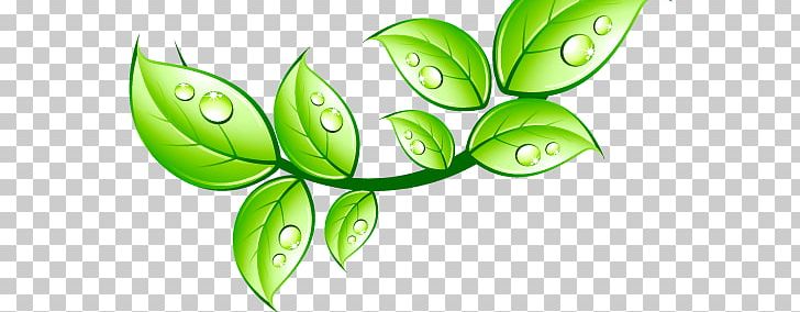 Leaf Aquarius Water And Coffee Service Water Cooler PNG, Clipart, Aquarius Water And Coffee Service, Brewer, Coffee, Coffeemaker, Cool Free PNG Download